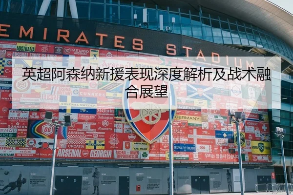 英超阿森纳新援表现深度解析及战术融合展望